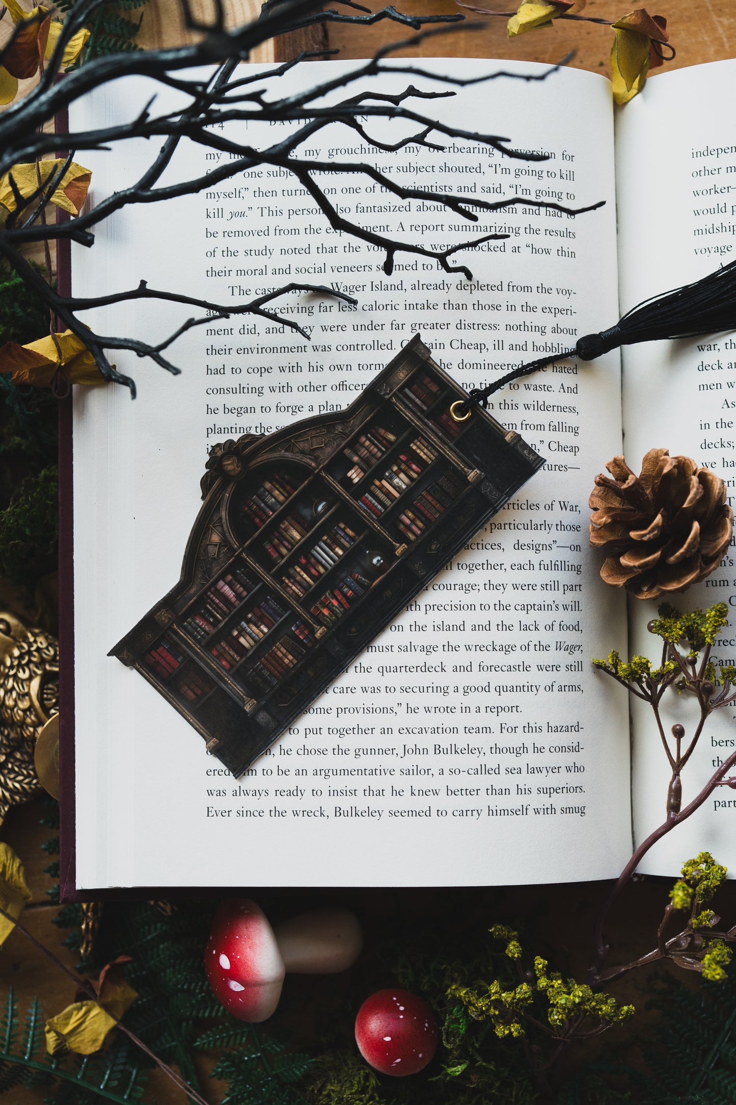 Dark Academia Bookshelf Bookmark