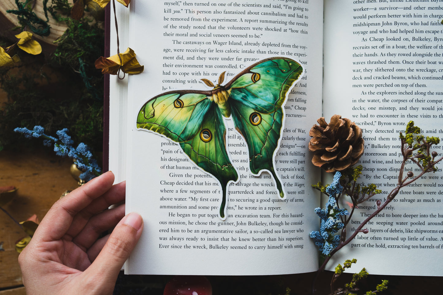 Emerald Luna Moth Bookmark