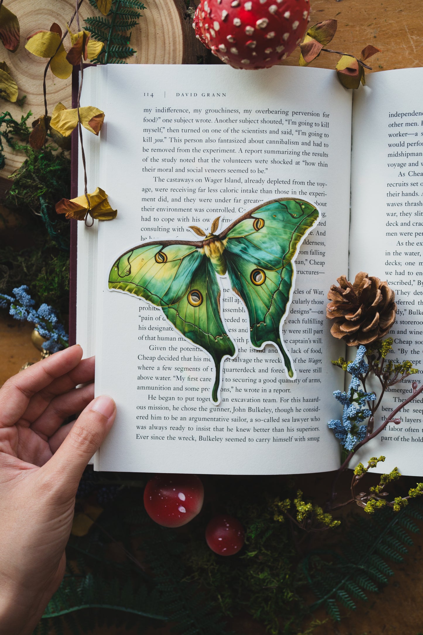 Emerald Luna Moth Bookmark