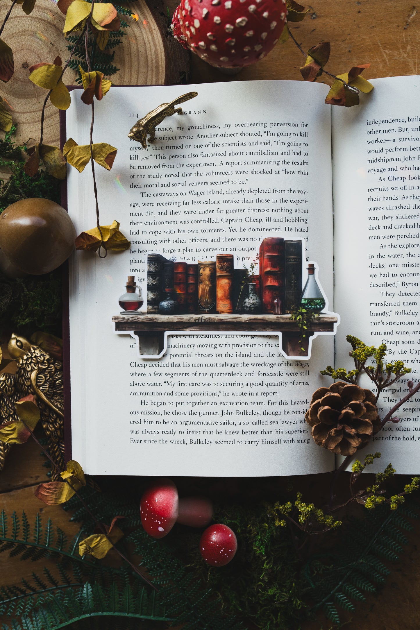 The Alchemist’s Shelf Bookmark