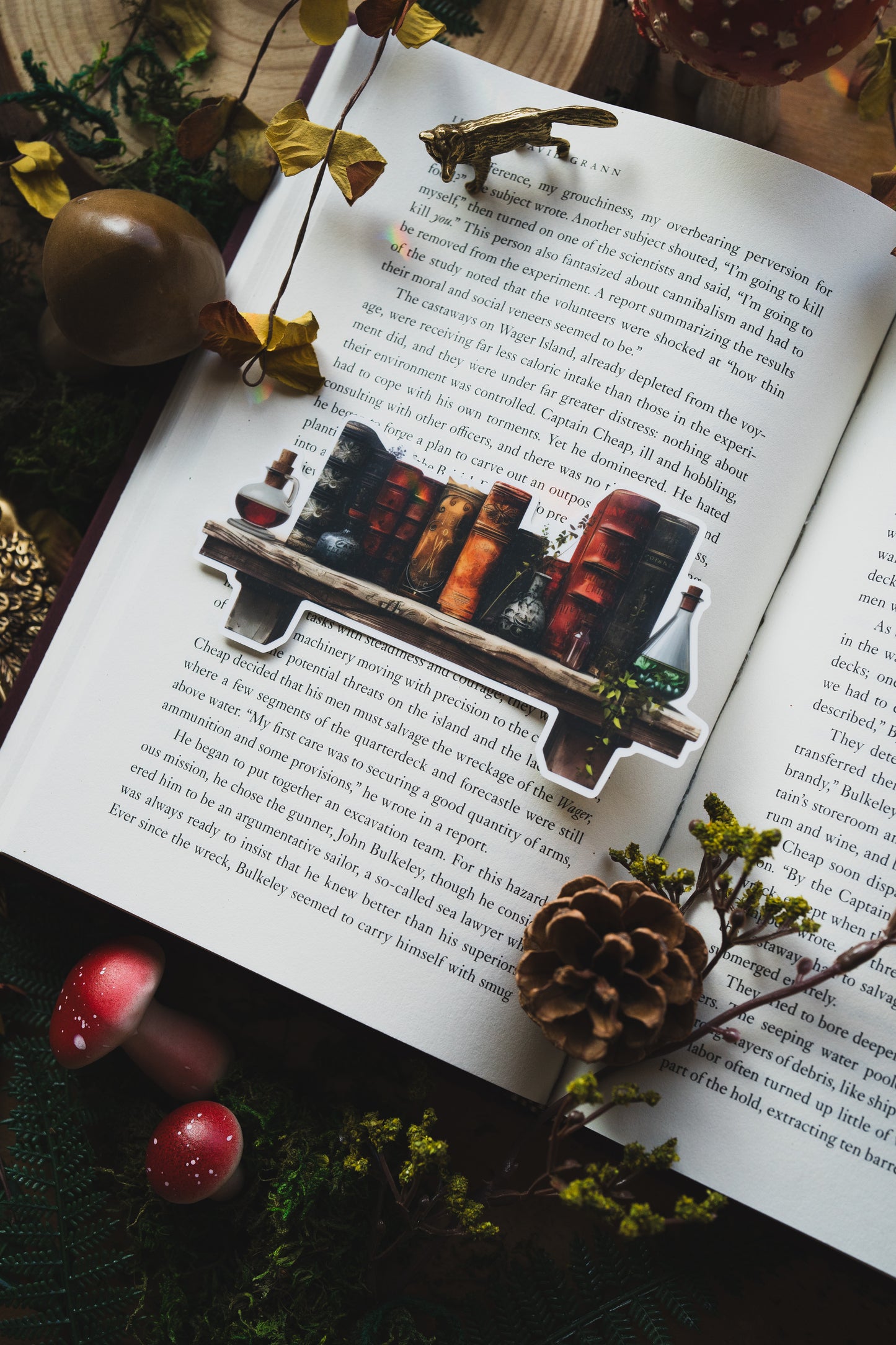 The Alchemist’s Shelf Bookmark