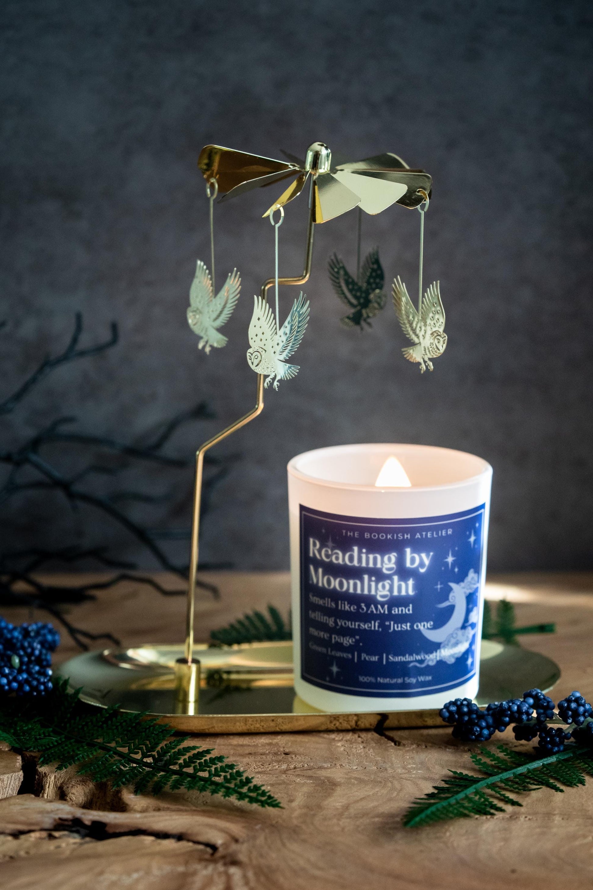 Flying Owl Candle Carousel