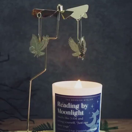 Flying Owl Candle Carousel