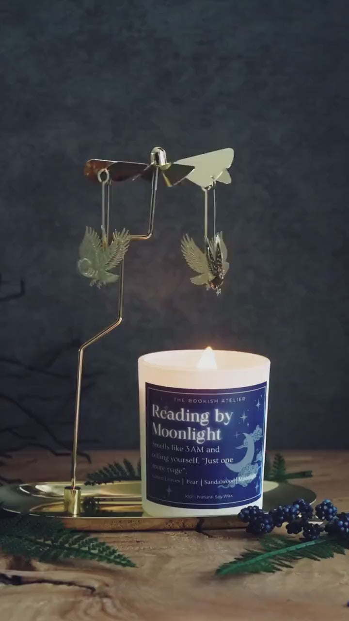 Flying Owl Candle Carousel